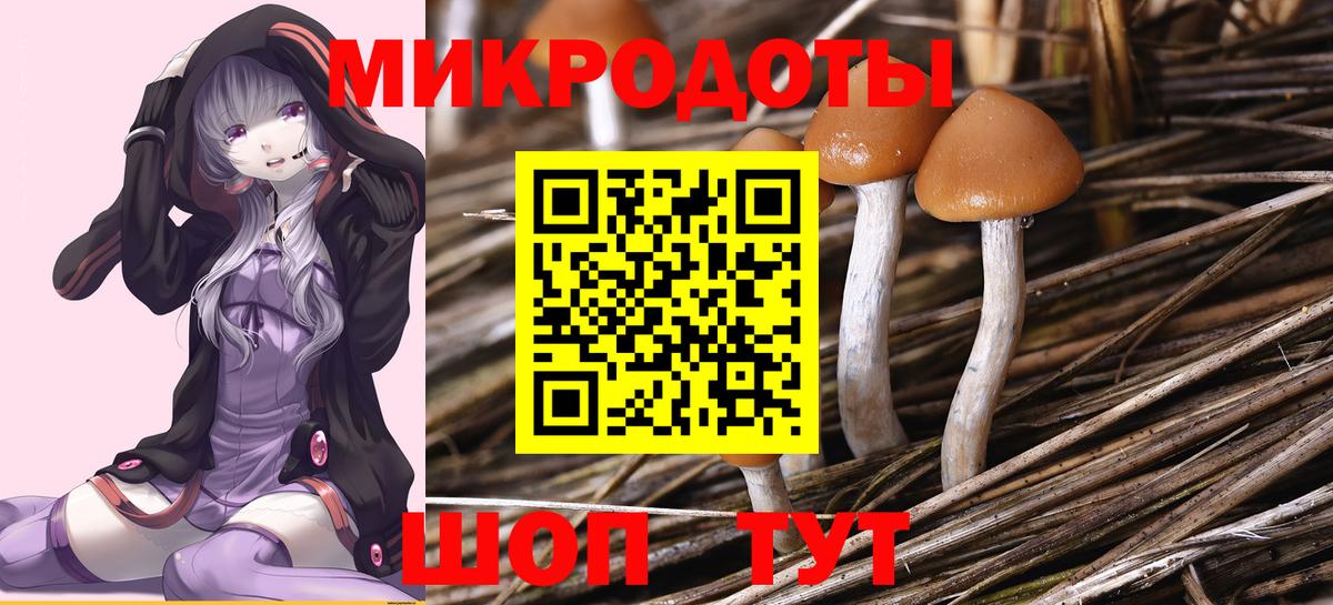 Псилоцибиновые грибы мицелий  Псилоцибиновые грибы прущие грибы  Шелехов  Вход с VPN 