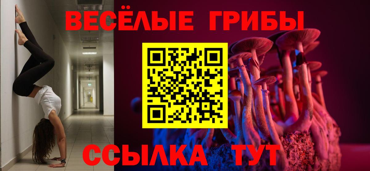 Галлюциногенные грибы Psilocybe Шелехов